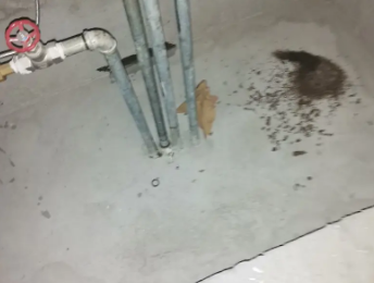 临沧市卫生间测漏水价格明细