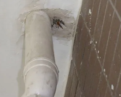 临沧市漏水检测哪家好